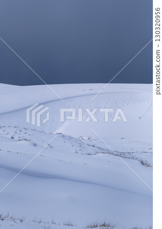 鳥取沙丘的雪景 鳥取沙丘的雪景 130320956