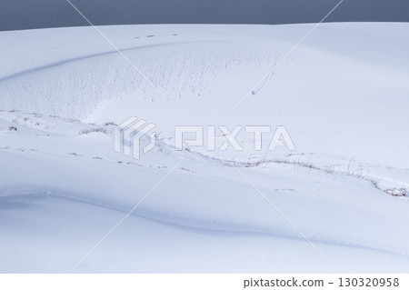 鳥取沙丘的雪景 130320958