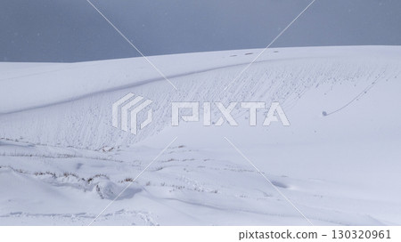 Snowy landscape of Tottori Sand Dunes 130320961