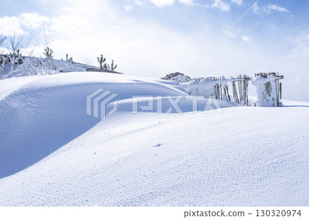 鳥取沙丘的雪景 鳥取沙丘的雪景 130320974