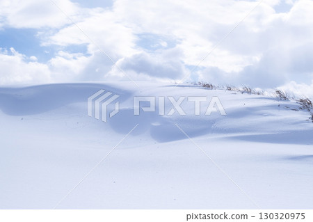 鳥取沙丘的雪景 鳥取沙丘的雪景 130320975