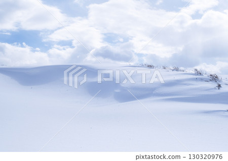 鳥取沙丘的雪景 鳥取沙丘的雪景 130320976