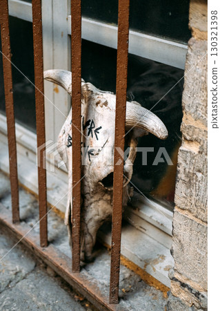 Animal skull with horns and graffiti writing placed behind iron bars in an old stone window. Urban decay, counterculture expression, street symbolism, alternative identity 130321398