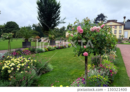A public garden path lined with structured flower beds and blooming pink roses near a stately building. Public gardens as spaces of wellness, green mental health, healing environments, urban nature 130321400