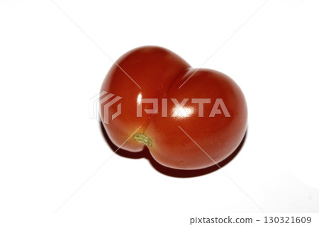 A home grown wonky conjoined tomato that looks funny on a white background 130321609