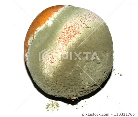 Fruit mould and spores on an over ripe rotten orange 130321766