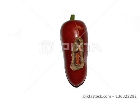 Home grown chilli pepper vegetable wonky and damaged eaten by slugs and pests ruined Home grown chilli pepper vegetable wonky and damaged eaten by slugs and pests ruined 130322282