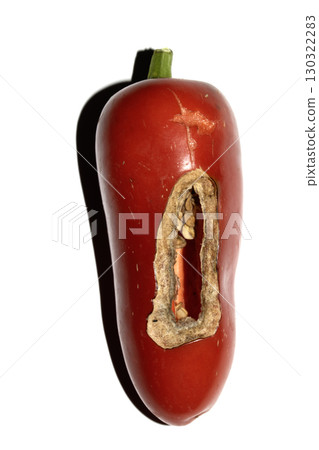 Home grown chilli pepper vegetable wonky and damaged eaten by slugs and pests ruined Home grown chilli pepper vegetable wonky and damaged eaten by slugs and pests ruined 130322283