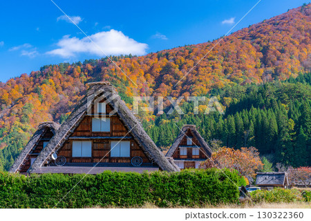 [World Heritage Site] Shirakawa-go and Sanrengosho in full autumn color [Gifu Prefecture] 130322360