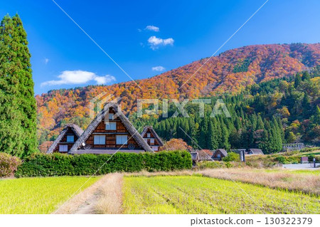 [World Heritage Site] Shirakawa-go and Sanrengosho in full autumn color [Gifu Prefecture] 130322379