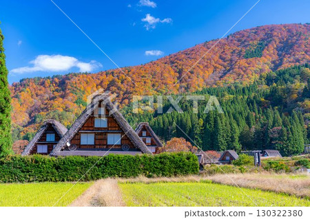 [世界遺產] 紅葉盛開的白川鄉/三連莊[岐阜縣] 130322380