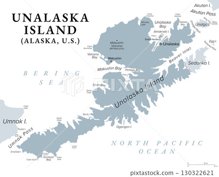 Unalaska Island, Alaska, United States, gray political map. Part of the Fox Islands and Aleutian Islands. The city Unalaska covers part of the island and Amaknak Island where Dutch Harbor is located. 130322621