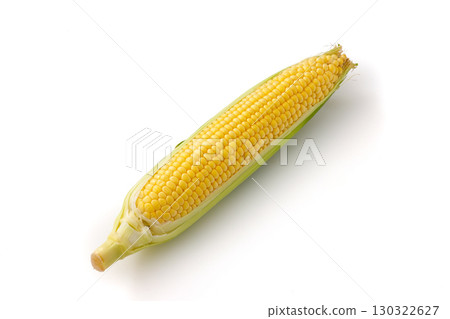 白色背景和北海道玉米 白色背景和北海道玉米 130322627