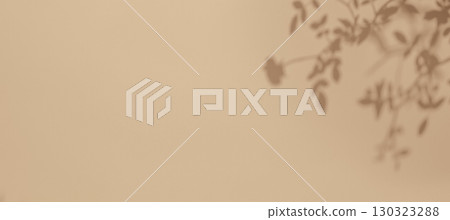 Minimalist Beige Background with Plant Shadows for Modern 2000s Aesthetic 130323288
