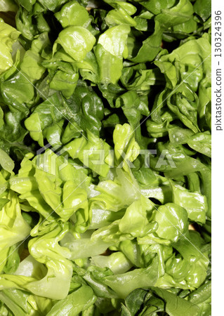 Close up of sliced chopped baby gem green lettuce 130324396