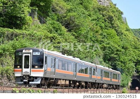 開往岐阜的KIHA75係柴油列車 130324515