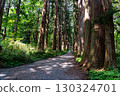 The large cedar trees of Togakushi 130324701