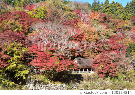 秋天香蘭溪 130324814