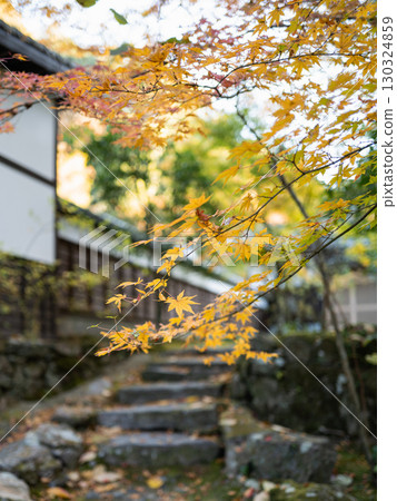 Autumn leaves, stone stairs and fallen leaves Autumn leaves, stone stairs and fallen leaves 130324859