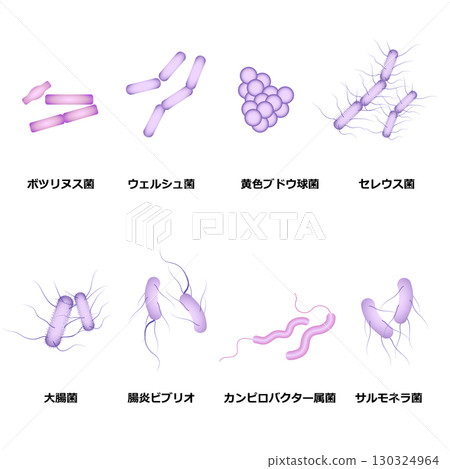 Bacteria in bacterial food poisoning 130324964