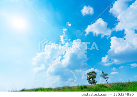 藍天、白雲、陽光、草地 130324980