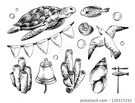 Hand drawn line art illustration of turtle, coral, shells, flags and seagull. Black ink marine collection with bubbles and nautical elements, perfect for clipart, coastal projects and design. Hand drawn line art illustration of turtle, coral, shells, flags and seagull. Black ink marine collection with bubbles and nautical elements, perfect for clipart, coastal projects and design. 130325292