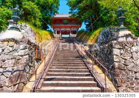 Dojoji Temple Niomon 130325305