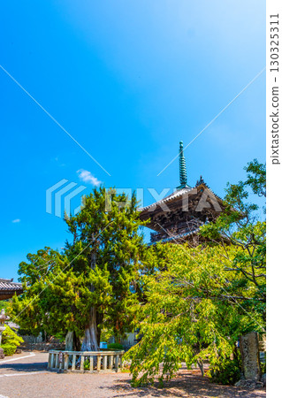 道成寺三層塔和安鎮塚古墳 道成寺三層塔和安鎮塚古墳 130325311