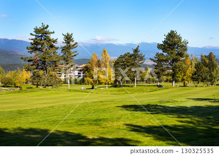 Vibrant nature background with colorful green, yellow autumn trees and grass field Vibrant nature background with colorful green, yellow autumn trees and grass field 130325535