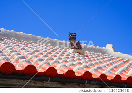 Shisa enshrined on a red tile roof in Yaese Town, Okinawa (close-up, clear weather) Shisa enshrined on a red tile roof in Yaese Town, Okinawa (close-up, clear weather) 130325628