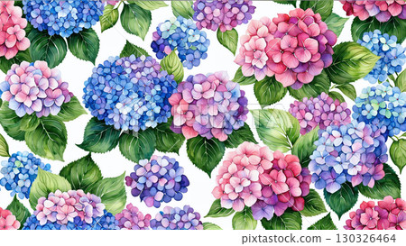 Watercolor botanical background with colorful hydrangeas in full bloom Watercolor botanical background with colorful hydrangeas in full bloom 130326464
