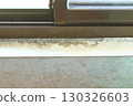 Mold stains on the wall paper near the window 130326603