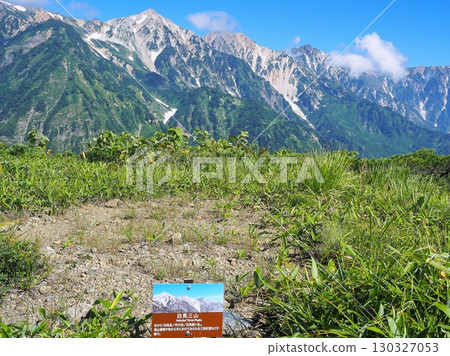 8 月，從八方尾根嶺看到的長野縣白馬三山 130327053