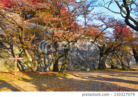 Autumn: Morioka Castle Ruins Park Autumn: Morioka Castle Ruins Park 130327079