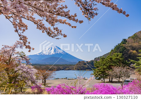 [Yamanashi Prefecture] Lake Shoji, cherry blossoms by the lake and Mt. Fuji 130327110