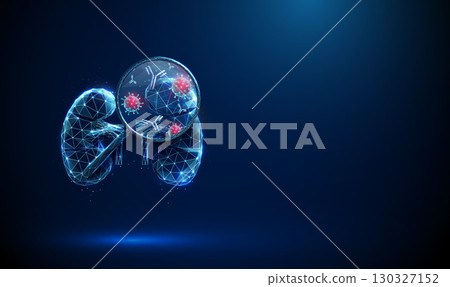 Kidney with a magnifying glass and viruses and antibodies inside. Immune response, kidney disease detection, nephrology research, health monitoring concept. Kidney with a magnifying glass and viruses and antibodies inside. Immune response, kidney disease detection, nephrology research, health monitoring concept. 130327152
