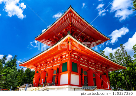 [World Heritage Site: Sacred Sites and Pilgrimage Routes in the Kii Mountain Range] Midsummer at Mount Koya's Danjogaran, Konpon Daito, Koya Town, Ito District, Wakayama Prefecture 130327380
