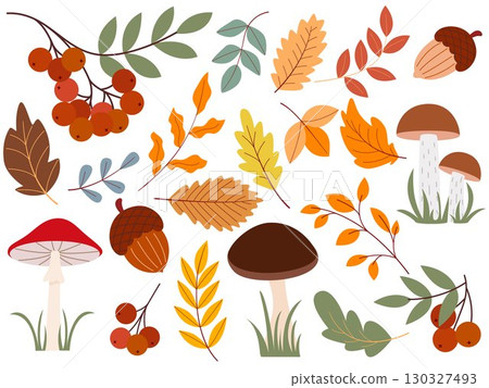 Autumn set of natural forest elements Autumn set of natural forest elements 130327493