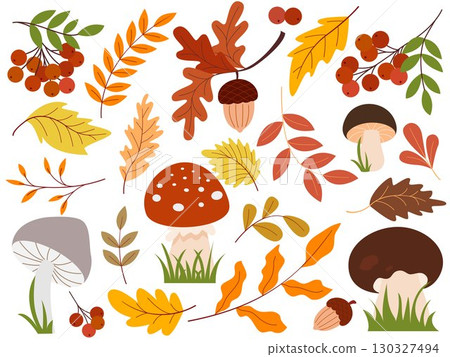 Natural forest elements set vector graphic 130327494
