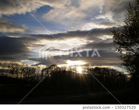 Dusk of spring 130327520