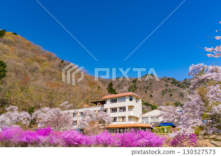 [山梨縣]精進湖旅館、紫杜鵑和櫻花 130327573