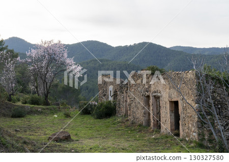 A stone building with a large tree in front of it A stone building with a large tree in front of it 130327580