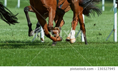 Horse racing outdoor derby in detail of horses legs. Outdoor sport and competition. 130327945