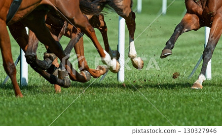Horse racing outdoor derby in detail of horses legs. Outdoor sport and competition. 130327946