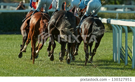 Horse racing outdoor derby with jockeys heading to finish line. Outdoor sport and competition. Horse racing outdoor derby with jockeys heading to finish line. Outdoor sport and competition. 130327951