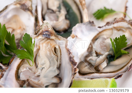 Raw oyster on white background 130329579