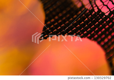 Black lace Halloween background material 130329702