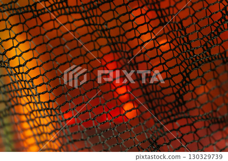 Black lace Halloween background material Black lace Halloween background material 130329739