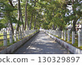 奈良法隆寺參拜道，世界遺產 130329897