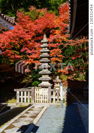 Hoshoji Temple surrounded by autumn leaves 130331454